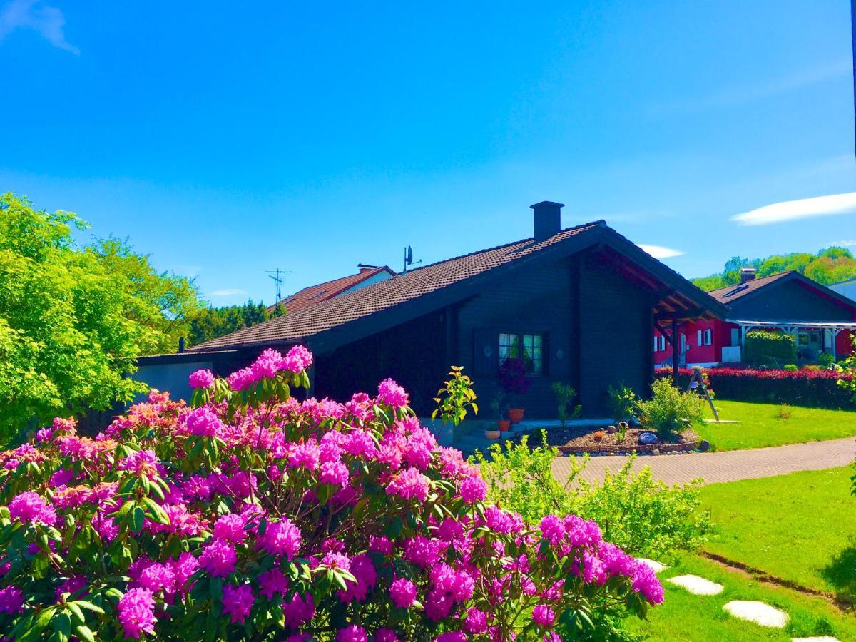 Ferienhaus Bergglueck Nonnweiler Eksteriør bilde